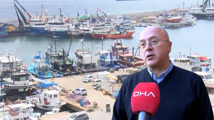 Denizlerimizdeki tehlike Uzman isim uyardı: Karadenizde hamsi kalmayacak, 50 dereceyi görmemiz çok yüksek