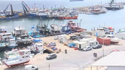 Uzman isim uyardı: Karadenizde hamsi kalmayacak, 50 dereceyi görmemiz çok yüksek