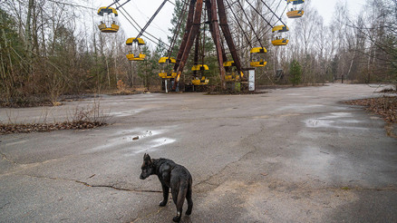Felaketin üzerinden 38 yıl geçti ama etkileri hâlâ silinmedi... Kurtların süper güçleri insanlar için umut oldu