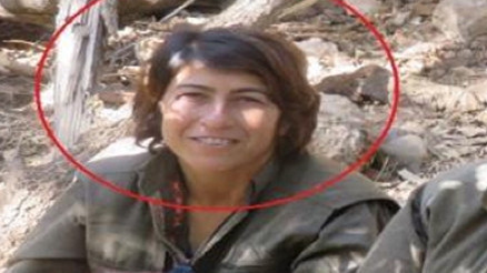 MİTten Kamışlıda nokta operasyon: YPG-YPJnin sözde sorumlusu etkisiz hale getirildi