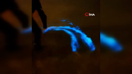 Bursada deniz yer yer renk değiştirdi