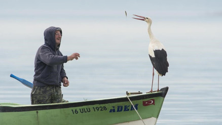13 yıllık dostluk: Yaren Leylek ile Adem Amca yine bir arada... Çok şükür kavuştuk 13 yıllık dostluk: Yaren Leylek ile Adem Amca yine bir arada... Çok şükür kavuştuk