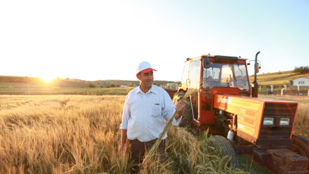 Mazot ve gübre desteği yattı mı Tarımsal destek ödemeleri için Bakan Yumaklıdan açıklama Mazot ve gübre desteği yattı mı Tarımsal destek ödemeleri için Bakan Yumaklıdan açıklama