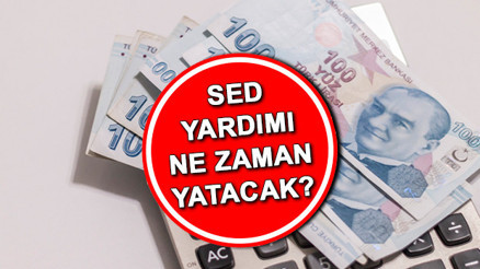 SED YARDIMI NE ZAMAN YATACAK 2024 MART SED ödemeleri yattı mı, ayın kaçında verilecek İşte 2024 mart ayı çocuk yardımı ödeme sorgulama ekranı...