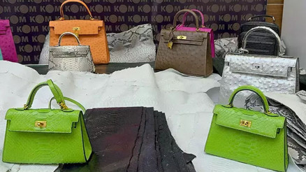 İstanbulda 20 milyon dolar değerinde piton derisi ele geçirildi