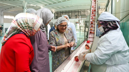 GASMEK 328 bin kadına eğitim verdi GASMEK 328 bin kadına eğitim verdi