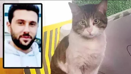 Kedi Eros için hayvanseverler adliyeye akın etti