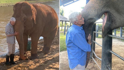 50 senede yaptığı serveti, fillere, orangutanlara ve köpeklere paylaştırdı... Ünlü komedyenin vasiyeti kalpleri ısıttı 50 senede yaptığı serveti, fillere, orangutanlara ve köpeklere paylaştırdı... Ünlü komedyenin vasiyeti kalpleri ısıttı