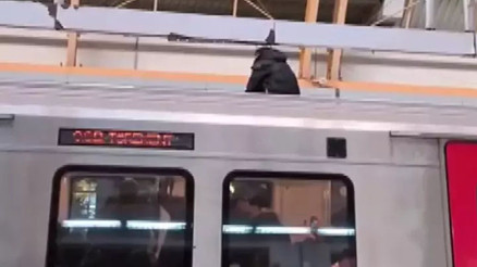 Metronun üzerine çıkan genç seferlerin aksamasına neden oldu