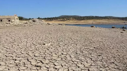 Doç. Dr. Ceyhun Özçelikten Bodruma kuraklık uyarısı: Çiftçilerin hazırlıklı olması gerekiyor