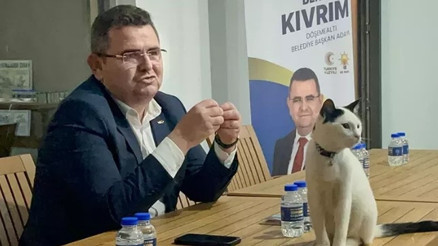Antalyada mahalle toplantısında kedi masaya çıktı, başkan adayının anlattığı proje dikkat çekti Antalyada mahalle toplantısında kedi masaya çıktı, başkan adayının anlattığı proje dikkat çekti