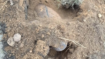 Polonyada bomba alarmı: 500 kişi tahliye edildi