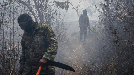 Meksika orman yangınları ile boğuşuyor