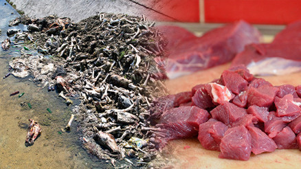 Uzmanlar açıkladı: At eti sulu olur, mangal söndürür