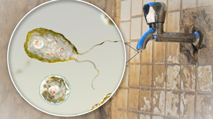 İngiltereye Naegleria uyarısı Burundan girip beyni istila ediyor: Ölüm oranı yüzde 99