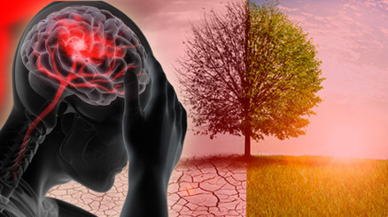 204 ülkeyi kapsayan araştırmanın sonucu korkuttu… İklim değişikliği yarım milyondan fazla felç ölümüne neden oldu ‘Dünya daha büyük bir hastalık yüküyle karşı karşıya kalacak’