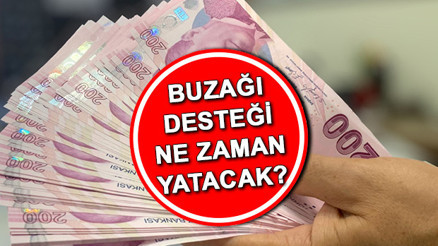 BUZAĞI DESTEĞİ 2. DÖNEM BAŞVURU TAKVİMİ 2024 || Buzağı desteği ne zaman yatacak 2024 Buzağı destekleri ödeme tarihi belli oldu mu