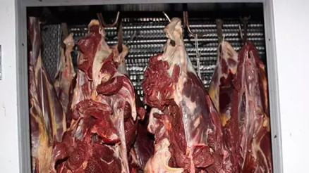 At eti haram mı, zararlı mı, yenir mi İstanbul’un göbeğinde kaçak at kesimi At eti haram mı, zararlı mı, yenir mi İstanbul’un göbeğinde kaçak at kesimi