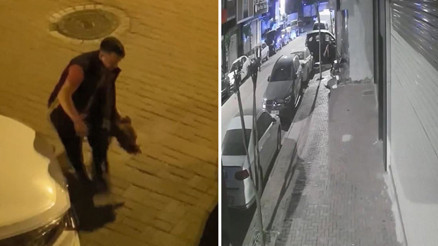 Zeytinburnunda dehşet anları Pitbullun saldırdığı kedi öldü