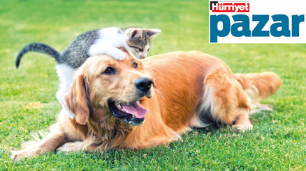 Onları bu havalarda da koruyalım