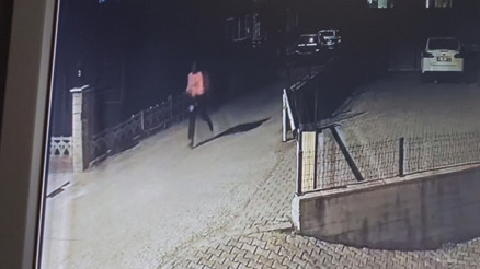 Dina’nın ölümünde büyükelçi ve avukattan Kaçışı araştırılsın talebi