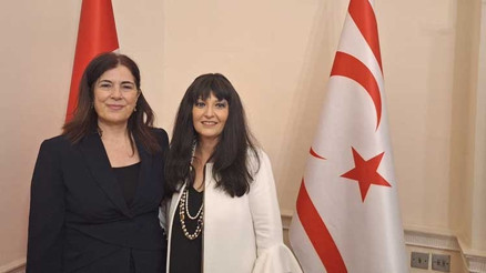 ‘Milenyum Şairi’ni iki kitapta anlattı