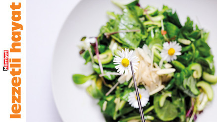 Bu yüksek mutfağın tümü bitki bazlı