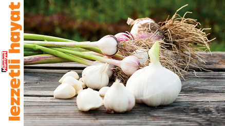 Soframıza şifa getiriyor