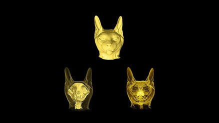 Hayvan sağlığına dikkat çeken dijital sergi