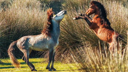 Doğa bizi çağırıyor Doğa bizi çağırıyor