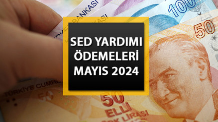 SED YARDIMI ÖDEME DURUMU SORGULAMA SAYFASI 2024 || Mayıs ayı SED yardımı yattı mı, ne zaman yatacak e-Devlet ile ödeme bilgisi görüntüleme
