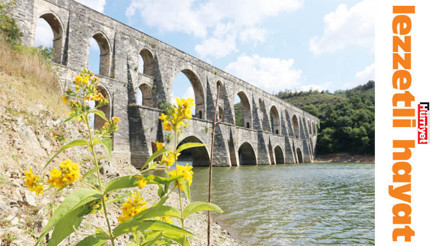 Doğanın kucağında piknik zamanı