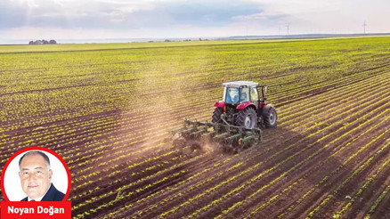 O sistem olmasa fındıktan domatese birçok ürünü tüketemeyiz