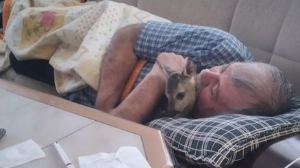 Sivastan kalpleri ısıtan görüntü: Mantar toplarken ormanda buldu, evinde bakımını yaptı