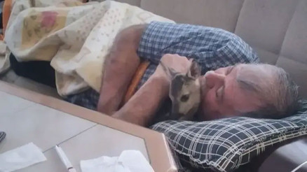 Mantar toplarken ormanda buldu, evinde bakımını yaptı