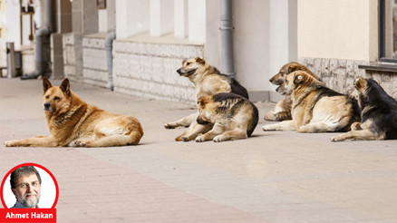 Öldürerek değil yaşatarak çözelim
