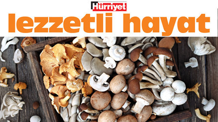 Kuzugöbeği, kestane, istiridye... Çeşit çeşit mantar çeşit çeşit tarif