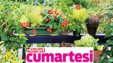 Dalından koparıp yemenin tadı bir başka