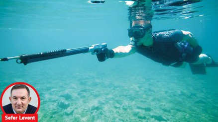 Balıkları tüketen yarışma