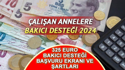 ÇALIŞAN ANNELERE DESTEK ÖDEMELERİ 2024 || SGK  325 Euro bakıcı desteği başvuruları nasıl yapılır, kimler yararlanabilir İşte başvuru şartları...