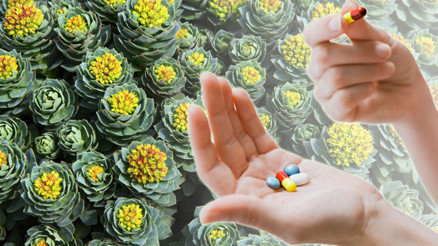 Dünyaca ünlü isimlere danışmanlık veren uzman anlattı: Uzun ömürlü olmak için bu takviyeleri her gün alıyor