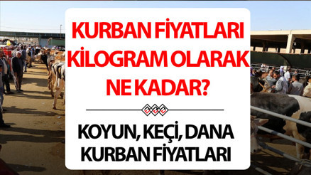 KURBAN FİYATLARI 2025 CANLI (KİLO) - BU YILIN RAKAMLARI || Bu yıl koyun, keçi, küçükbaş, dana, büyükbaş kurbanlık fiyatları ne kadar, kaç TL KURBAN FİYATLARI 2025 CANLI (KİLO) - BU YILIN RAKAMLARI || Bu yıl koyun, keçi, küçükbaş, dana, büyükbaş kurbanlık fiyatları ne kadar, kaç TL