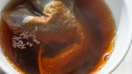 Her öğünde ne kadar plastik yediğinizi biliyor musunuz