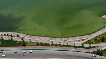 İzmir’in iki ilçesinde denizin rengi değişti, kötü koku yayıldı