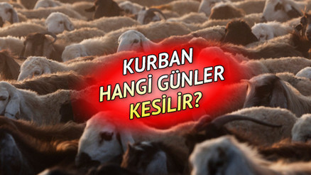 KURBAN KESİM VAKTİ 2024 (Diyanet bilgisi) || Kurban ne zaman, saat kaça kadar kesilir Bayramın 3. veya 4. günü kurban kesilir mi KURBAN KESİM VAKTİ 2024 (Diyanet bilgisi) || Kurban ne zaman, saat kaça kadar kesilir Bayramın 3. veya 4. günü kurban kesilir mi