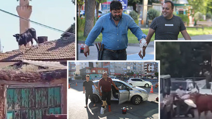 Bir Kurban Bayramı klasiği Acemi kasaplar hastaneye akın etti Bir Kurban Bayramı klasiği Acemi kasaplar hastaneye akın etti