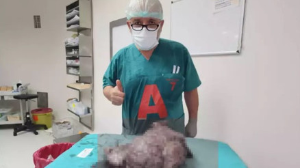 Karın ağrısı şikayetiyle gitti, karnından 10 kilo dev tümör çıkartıldı