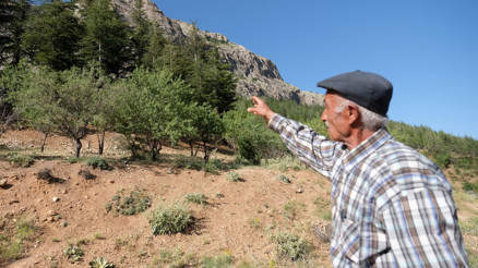 Konyada emekli orman muhafaza memuru: 30 binin üstünde ağaç diktim
