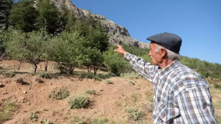 Emekli orman muhafaza memuru: 30 binin üstünde ağaç diktim