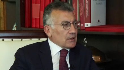 AK Partili Gülerden sokak hayvanları düzenlemesiyle ilgili açıklama